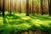 世界体操团体赛冠军队员参与公益青训计划，世界体操2021