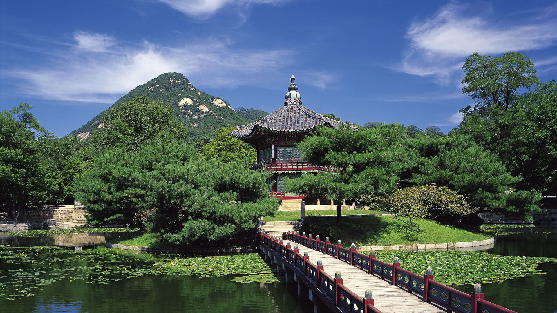 世界体操团体赛赛场康复与营养方案公开课上线，世界体操联赛